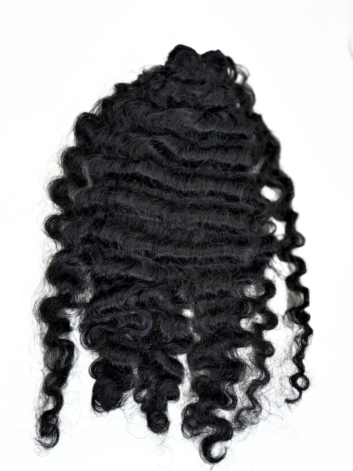 Raw Burmese Curly